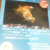 金魚仲間が届く