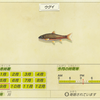 ポケモンソードシールド 剣盾 マスターボール の入手方法 場所 使い道をシェア ゲーマーズハイ 最新ゲーム攻略data Base ポケモンソードシールド 剣盾 マスターボール の入手方法 場所 使い道をシェア ゲーマーズハイ 最新ゲーム攻略data Base
