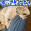 連休はストレス多めです(^^;)