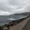 福井県越前町の「水仙・カニフェア」
