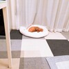パパが帰ってきました！