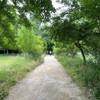 もちろんすじと厚揚げも