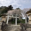 平山八幡神社の枝垂れ桜です。
