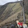 雨の袈裟丸山から、思いがけない足利の冒険へ