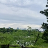 北の丸公園。