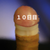 10日目