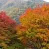 　永源寺の紅葉2017（滋賀県東近江市）