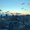 【神戸】神戸市役所の無料展望台から見える景色（神戸ルミナリエ）