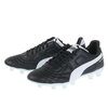 プーマ（PUMA）（メンズ）サッカースパイク ハードグラウンド/人工芝用 パラメヒコ SE プロ HG/AG 10731601⚽