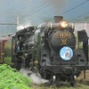 道の駅_あらかわ_汽車（埼玉県秩父市）