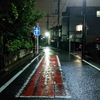 久しぶりの雨とChatGPTでの検索