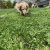 雨が降る前に。