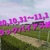 2020,10,31～11,1 トラックバイアス結果 (東京競馬場、京都競馬場、福島競馬場)