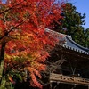 秋の絶景・姫路市の2大スポット・・・