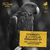 "Domingo+" "Loveclub" melodic, organic deep house, afro, remix