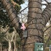  久々のハイキング