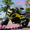 【GROM125カスタム①】HONDAグロムの絶対真似したいカスタムまとめ