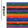 　梅棹忠夫「夜はまだあけぬか」