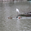 水月公園