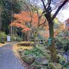 大平山の役の行者像にお参り（奥武蔵）