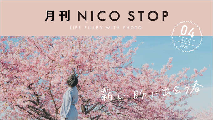 月刊NICO STOP 4月号 ｜ 新しい自分に出会う春