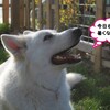 夏日(^^;