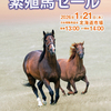 【ジェイエス･冬季繁殖馬セール2026(JS Company Winter Broodmare Sale)】の「上場馬名簿」が発行