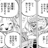 悪魔の実図鑑 Ssブログ