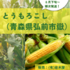 世界一美味しいとうもろこし🌽‼️