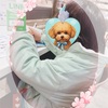 メガネ屋さんへ