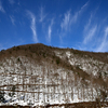 冬の里山