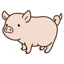 pig lover's blog 