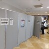 松戸市長選挙の期日前投票へ