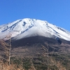 富士登山競争にエントリーしました。