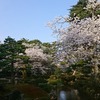 【番外編】金沢お花見ジョグ　この季節の金沢が一番いいかも