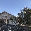本大久保