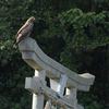 隣の隣の県に遊びに行った日記（２０２３　０４３０）その３。