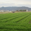 「野」を歌う