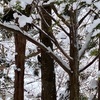 札幌におでかけ②