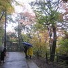 勝俣部長の「高尾登山と健康体質作り」７５６････笑われるな　よ