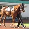 ２戦目は３着でした！