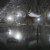 雪の日の『日中友好庭園』の夜景。