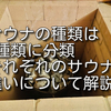 サウナの種類を紹介！様々なサウナの特徴や違い・効果・効能を徹底解説！