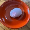 【夜桜と庭の豆】