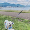 大津湖岸なぎさ公園へ、犬とお出かけ