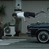 映画『jam』75点/これほど緊張感のあるコンサート描写を見たことがない。/ネタバレ感想と評価