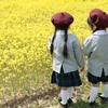 小学校受験の塾に入会する前に！普通の幼児教室でもできることとは