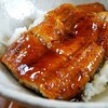 本日の朝食はうなぎ蒲焼丼♪＜薩摩川内うなぎ｜鹿児島＞