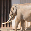 横浜金沢動物園6