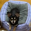 まろにー2184日目